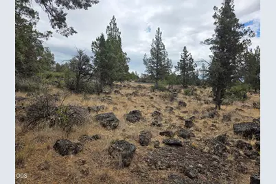 8314 Bly Mountain Cutoff Road, Bonanza, OR 97623 - Photo 19