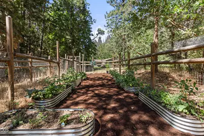 4955 Sardine Creek L Fork Road, Gold Hill, OR 97525 - Photo 33