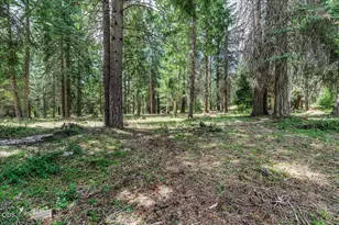 12300 Oregon 66, Ashland, OR 97520 - Photo 43