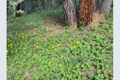 89138 Dog Lake, Lakeview, OR 97630 - Photo 79