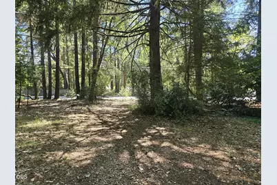 702 Caves Highway, Cave Junction, OR 97523 - Photo 3