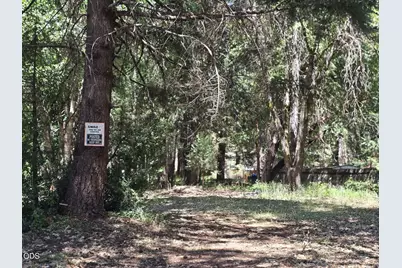 702 Caves Highway, Cave Junction, OR 97523 - Photo 5