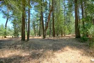 1820 Powell Creek Rd, Williams, OR 97544 - Photo 19