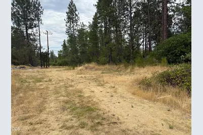 0 Piller Place #922, Cave Junction, OR 97523 - Photo 5