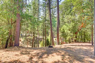 509 Manzanita Dr, Rogue River, OR 97537 - Photo 51
