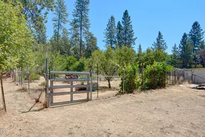 2141 Foots Creek Left Fork Road, Gold Hill, OR 97525 - Photo 33