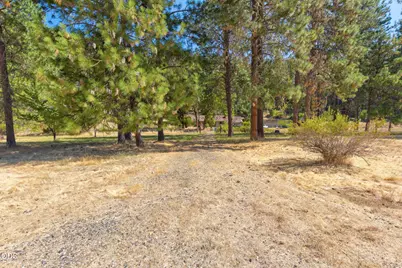 105 Dog Creek Road, Wolf Creek, OR 97497 - Photo 41