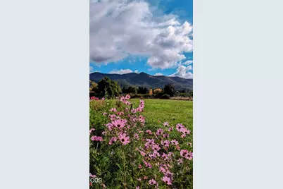 3745 Rogue River Highway, Gold Hill, OR 97525 - Photo 23