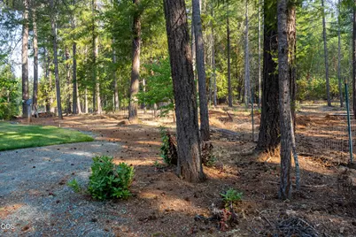 1700 Sykes Creek Road, Rogue River, OR 97537 - Photo 7