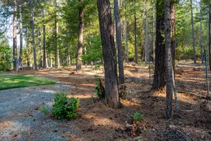 1700 Sykes Creek Rd, Rogue River, OR 97537 - Photo 7