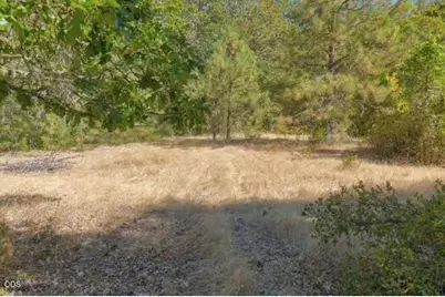 2499 Cedar Flat Road, Williams, OR 97544 - Photo 43