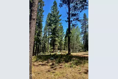 51530 Riverland Avenue, La Pine, OR 97739 - Photo 43