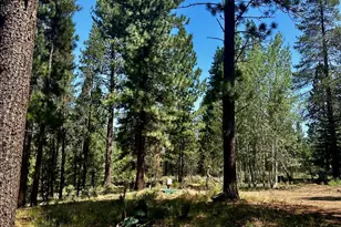 51530 Riverland Ave, La Pine, OR 97739 - Photo 43
