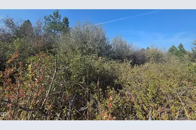 0 Lakeland Road #Lot 24, Chiloquin, OR 97624 - Photo 3