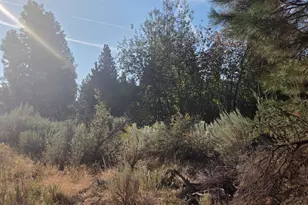0 Palouse Ln, Chiloquin, OR 97624 - Photo 1