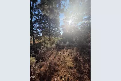 0 Palouse Lane #Lot 5, Chiloquin, OR 97624 - Photo 3