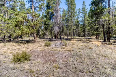 16230 Green Forest Road, La Pine, OR 97739 - Photo 3