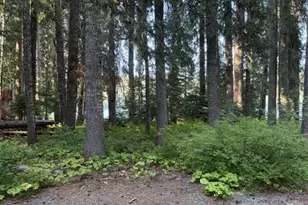 27428 W Odell Rd, Crescent Lake, OR 97733 - Photo 17
