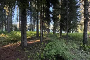 27428 W Odell Rd, Crescent Lake, OR 97733 - Photo 15