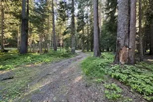 27428 W Odell Rd, Crescent Lake, OR 97733 - Photo 11