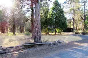 541 Mathews Rd, Dorris, CA 96023 - Photo 59