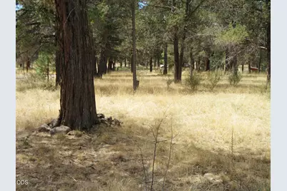 541 Mathews Road, Dorris, CA 96023 - Photo 39