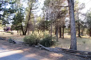 541 Mathews Rd, Dorris, CA 96023 - Photo 57
