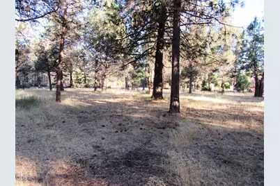 541 Mathews Road, Dorris, CA 96023 - Photo 45