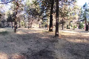 541 Mathews Rd, Dorris, CA 96023 - Photo 45