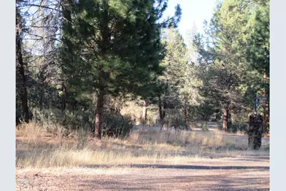 541 Mathews Road, Dorris, CA 96023 - Photo 41