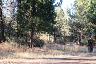 541 Mathews Rd, Dorris, CA 96023 - Photo 41