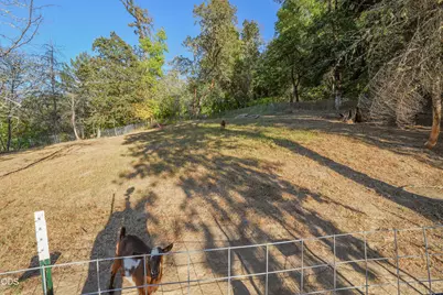466 Laurel Drive, Roseburg, OR 97471 - Photo 69