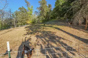 466 Laurel Dr, Roseburg, OR 97471 - Photo 69