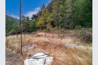 4315 Coyote Creek Road, Wolf Creek, OR 97497 - Photo 39