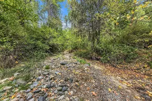 4315 Coyote Creek Rd, Wolf Creek, OR 97497 - Photo 31