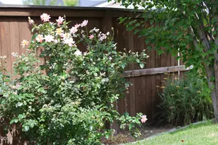 3707 Birddog Dr, Klamath Falls, OR 97603 - Photo 27