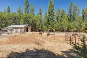 1650 Queens Branch Rd, Rogue River, OR 97537 - Photo 59