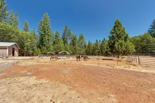 1650 Queens Branch Rd, Rogue River, OR 97537 - Photo 57