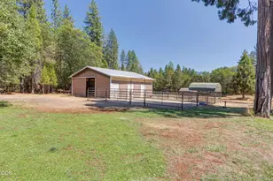 1650 Queens Branch Rd, Rogue River, OR 97537 - Photo 39