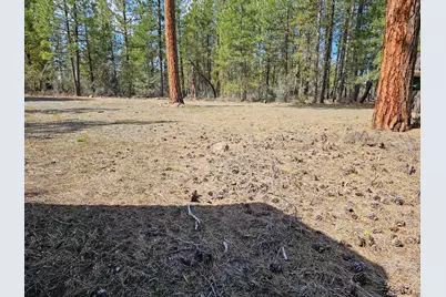 Wolverine Lane #Lot 7 & 8, Bonanza, OR 97623 - Photo 3