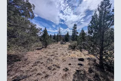 Widgeon Drive #12, Bonanza, OR 97623 - Photo 5