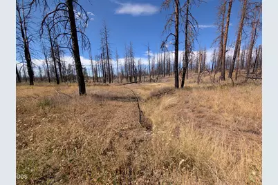 Black Buck Lane #25, Chiloquin, OR 97624 - Photo 1