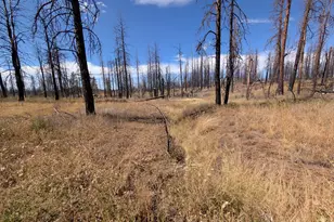 Black Buck Ln, Chiloquin, OR 97624 - Photo 1