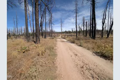Black Buck Lane #25, Chiloquin, OR 97624 - Photo 3