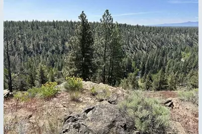 17127 Mountain View Road, Sisters, OR 97759 - Photo 3