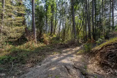 232 Riessen Road, Grants Pass, OR 97526 - Photo 47