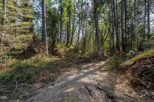 232 Riessen Rd, Grants Pass, OR 97526 - Photo 47