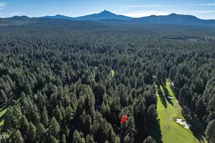 13314 Betony, Black Butte Ranch, OR 97759 - Photo 59