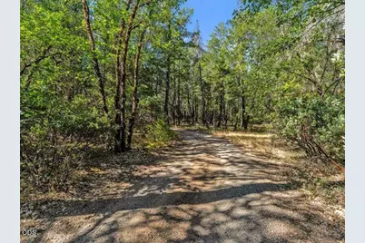 450 Brown Road, O'Brien, OR 97534 - Photo 11