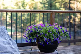 13442 Galium Gm369, Black Butte Ranch, OR 97759 - Photo 77